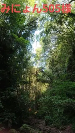 みにょん505様オーダー緑系青系