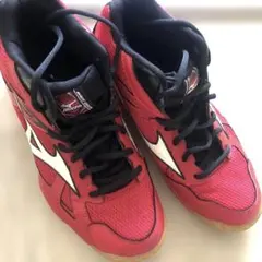 Item thumbnail for item ae5fb973-2dfc-482c-bb51-48cfcb0dc966