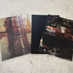 2026年最新】the GazettE パンフの人気アイテム - メルカリ