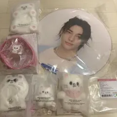 Straykids ペンミ 4/5 入場特典 コンプ 8枚セット - メルカリ