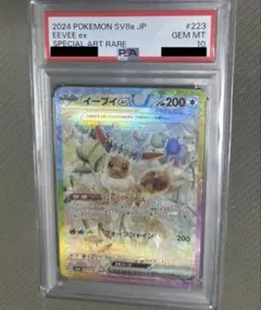 2026年最新】テラスタルフェス イーブイ psa10の人気アイテム - メルカリ