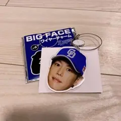 浅尾拓也　BIGFACEワイヤーチャーム