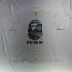 Item thumbnail for item b02ad8fa-4656-431b-b15f-32991ce6e164