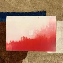 【美品】落下の王国 映画公式パンフレット The fall