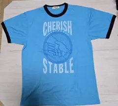 ビジョンクエストTシャツLサイズのサムネイル