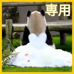 さいちゃん専用