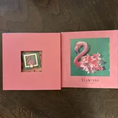 Flamingo/TEENAGE RIOT(フラミンゴ盤)