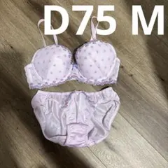 AMOSTYLE by Triumph ブラジャー ショーツ セット D75のサムネイル