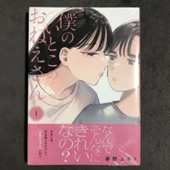 僕のいとこのおねえさん 1巻 新品