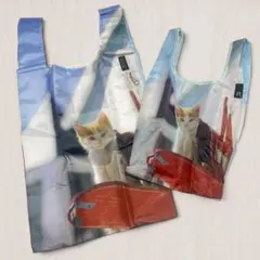 未使用2点セット【ROOTOTE】post&catルーショッパーレギュラー&ミニ