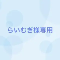 らいむぎ様専用（2/12まで出品）