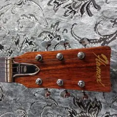 2025年最新】Hamox ギターの人気アイテム - メルカリ