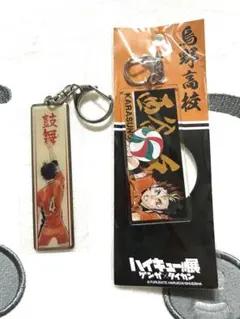 ハイキュー 3層プリントアクリルキーホルダー ゲンガ×タイカン ハイキュー展