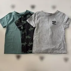 H&M 恐竜　ティシャツ　3枚セット