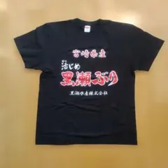 YANGGAO ヤンガオ マウンテンリサーチ 影響亜細亜 Tシャツ - メルカリ