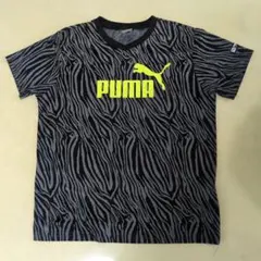 PUMA ゼブラ柄 半袖Tシャツ 160cmのサムネイル