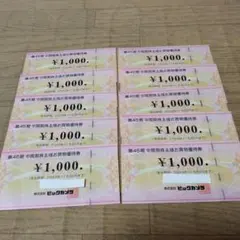 ビックカメラ 株主優待券 10枚セット１００００円分