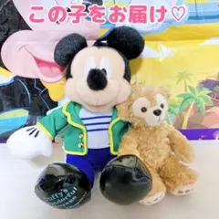 お顔厳選！ ダッフィーのワンダフルヴォヤッジ ぬいぐるみバッジ ぬいば