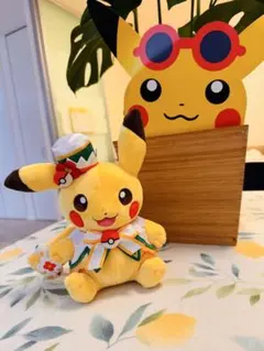 ポケパークカントー　ピカチュウ　ぬいぐるみ 限定 カーニバル花飾り