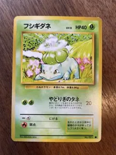 フシギダネ LV.13 HP40 ポケモンカード