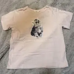 あいみょん色違い着用 猫Tシャツ - メルカリ