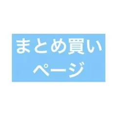 アッちプロフ必須でお願いします様 リクエスト 2点 まとめ商品