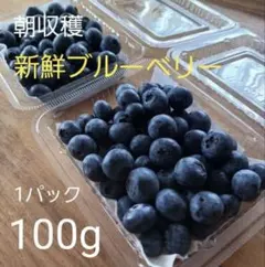 朝採れ　ブルーベリ　樹上完熟　100g超　除草剤不使用　生鮮果物　午後発送のサムネイル