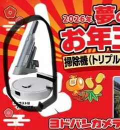 Item thumbnail for item 0a3a11b8-d759-4fb5-9beb-c9da5241f946