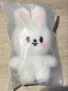 StrayKids スキズ　POPUP SKZOO STANDING リービット