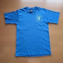 【フルーツオブザルーム】希少90s USA製 シングルステッチ 青 Tシャツ