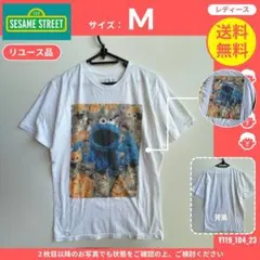 【AMERICAN RAG CIE】 (M) リユース品: Tシャツ セサミのサムネイル