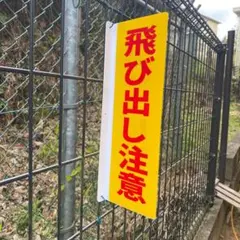 湘南茅ヶ崎ファーム様 リクエスト 2点 まとめ商品