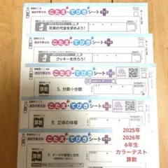カラーテスト 6年生 算数 答え　2025年　2026年のサムネイル