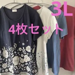 3Lベルメゾン　千趣会　mini labo 半袖Tシャツ 4枚セット 大きいのサムネイル