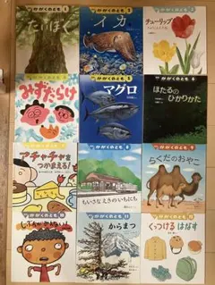 かがくのとも絵本セット　12冊　まとめ売り