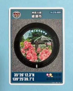 Item thumbnail for item 20768640-62c7-4430-8ca0-cec0db471d16