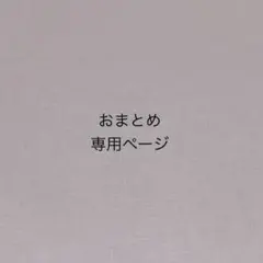 みゅう様 リクエスト 2点 まとめ商品