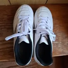 Item thumbnail for item 17ec02cf-a9ad-4187-8a65-a4dab54b2cd6