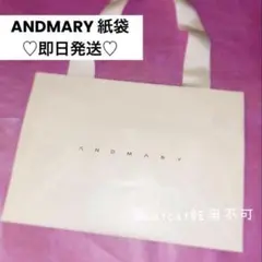 2026年最新】ANDMARY ショップ袋・ショッパーの人気アイテム - メルカリ