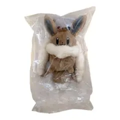 ボタンのイーブイリュック型 ポーチ キーホルダー ポケモンセンター