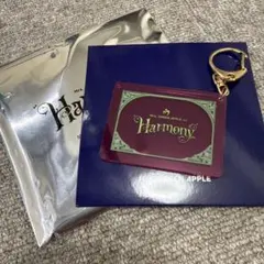 ラ*ン様 Mrs. GREEN APPLE Harmonyキーホルダー