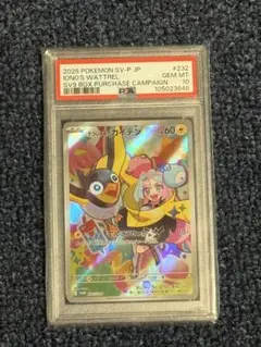 2026年最新】ナンジャモのカイデン psa10の人気アイテム - メルカリ