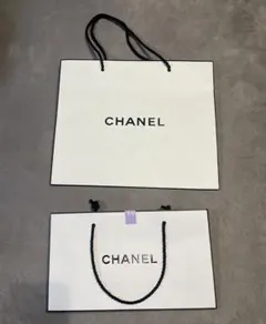 CHANEL ショップ袋 大小セット