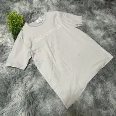 CK CALVIN KLEIN カルバンクライン✨ベージュTシャツ L〜LL