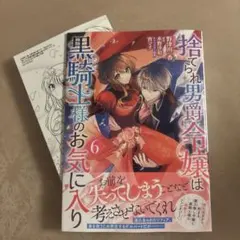 捨てられ男爵令嬢は黒騎士様のお気に入り6