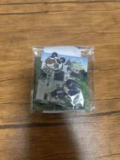 ワイテルズ Nakamu きんとき PUS アクリルジオラマ