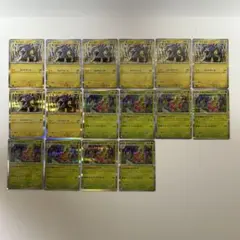 ポケモンカード メガシンフォニア収録 ライコウ メガニウム 各8枚 レア