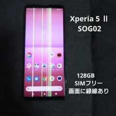 Sony Xperia 5 II SOG02 本体 128GBのサムネイル