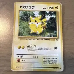 2025年最新】ジャングルピカチュウの人気アイテム - メルカリ