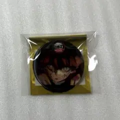 鬼滅の刃　雷の呼吸　ランダムアクションアニメーション缶バッジ　我妻善逸　E